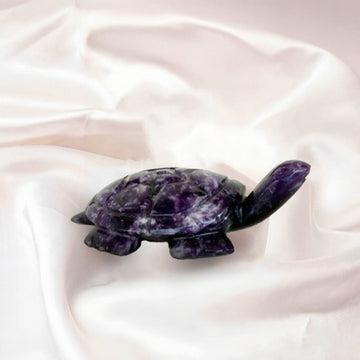 Amethyst Tortoise