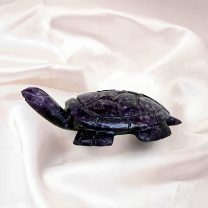 Amethyst Tortoise