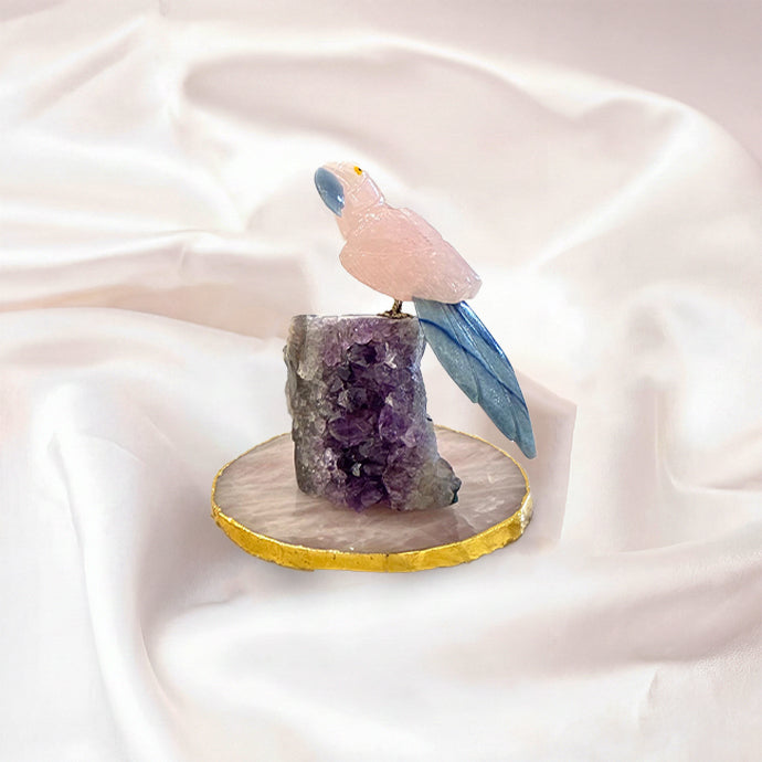 Mystic Parrot
