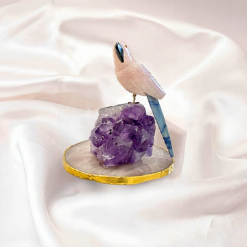Mystic Parrot