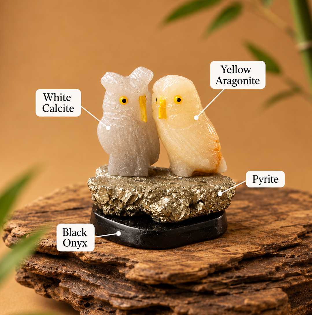 The wisdom birds
