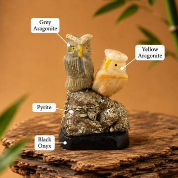 The Wise Owls