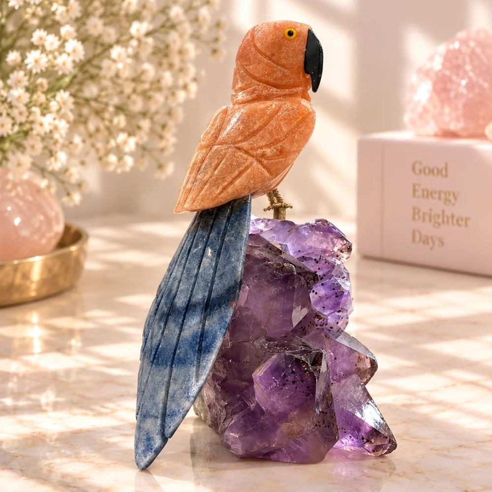 Aurelia Parrot