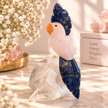 Seraphina parrot