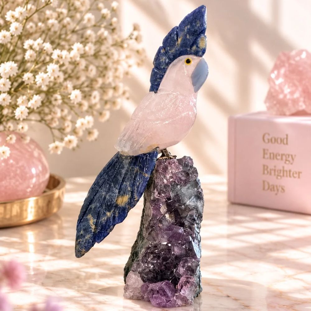 Mirabelle Parrot