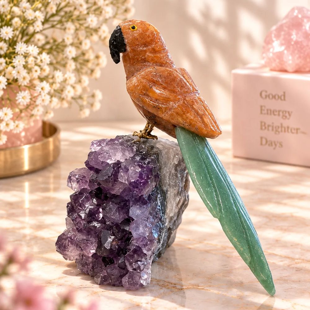 Solara Parrot